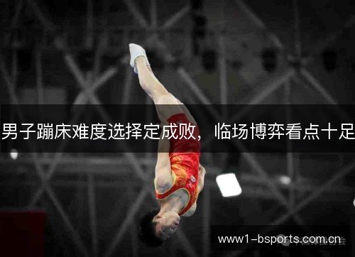 男子蹦床难度选择定成败,临场博弈看点十足 男子蹦床难度选择定成败,临场博弈看点十足